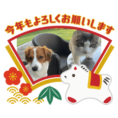 Jasmine_20251222205714