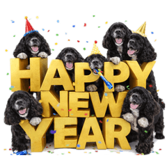 DOGS(BL)6 Happy new year 2026