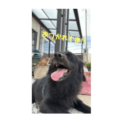 rrrio_20251222215131