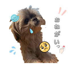 Izumi_20251223001141