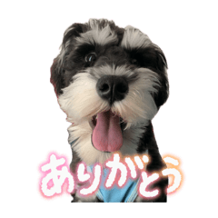 Tomy5352_20251223001030