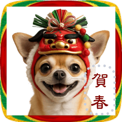 チワワとお正月！メッセージ自由