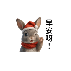 小冬兔的日常問候