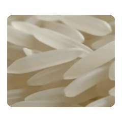 AI RICE DYNAMIC STICKER.