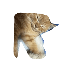 Pkon Benja_20251222124322