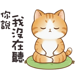 lovely lovely cute cat5