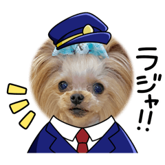 syocomama_20251222224219