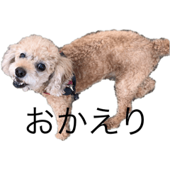 willber_20251222224743