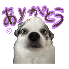 Miyuki Yagi_20251222223622