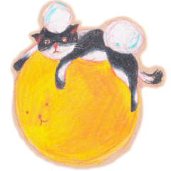 貓咪的各種感覺