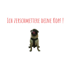 Daily greetings from mog :)