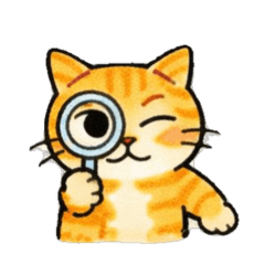 Orange tabby "Fanta"