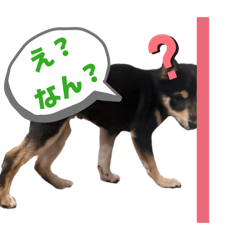 otari_20251222232214