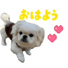 chihiro_20251223111452