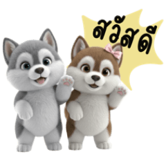 ไซบีเรียนฮัสกี้ น่ารักแพ็คคู่