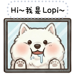 Lopi是隻薩摩耶