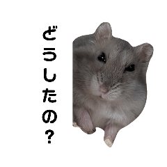 Yammer_20251222224933