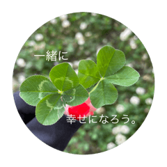 miho miho miho_20251222234627