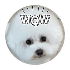 uyumam_20251222234933