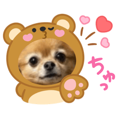 sachan_20251223000237