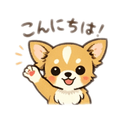 Chihuahua and everyday life