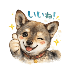 sophy_20251223085118