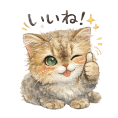 sophy_20251223084147