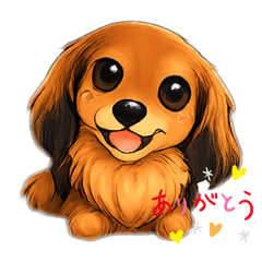 shocora_20251223090309