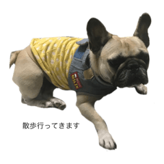 Shiroo_20251223092446