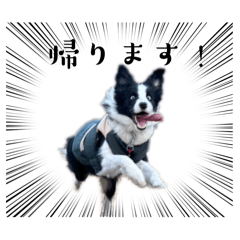 imomochi_20251223010424