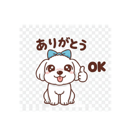 Koko_20251223031444