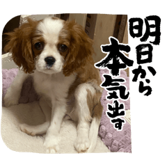 sizuku tomoton_20251223025649