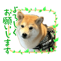 Kaori_20251223101951