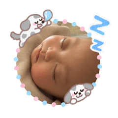 tomomi.f_20251223101814