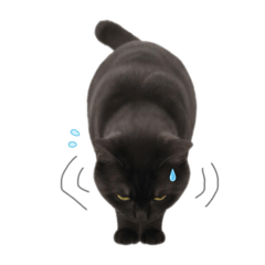 nagisa_20251223043400