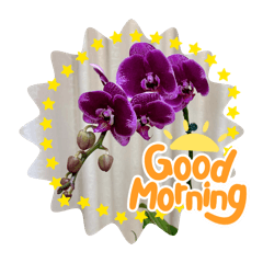 chumei_20251222170957