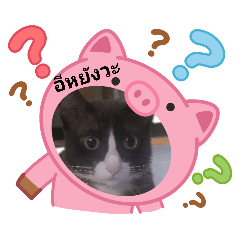 Diary khong Nan_20251222151554