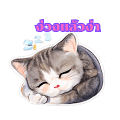 suchadaaa_20251222144424