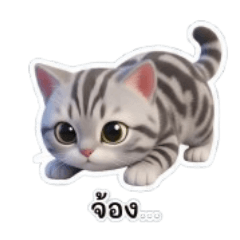 pakkapong_20251222153136