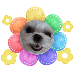 JollyKiddy_20251222165748