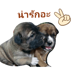 Micky_20251222182112