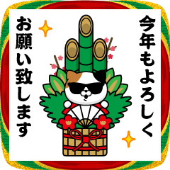 Sunglasses Cat/New Year 2026