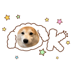 顆粒笨狗寶寶粉絲後援會