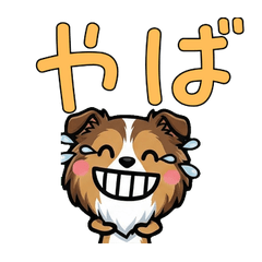 Overreaction Sheltie 3 Text