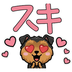 Anim. Overreaction Airedale 4 Text