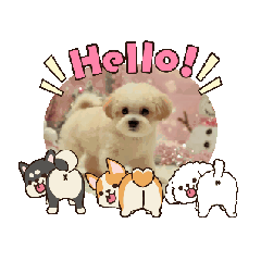 akira_20251223110251