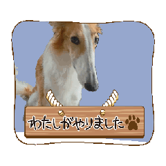 Luna stamp_20251223101046