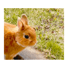 haruna_20251223124053