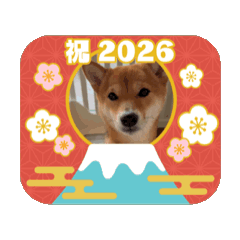 junkana_20251223103621