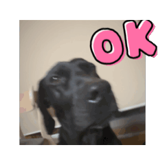 MOMOTA_20251223123724